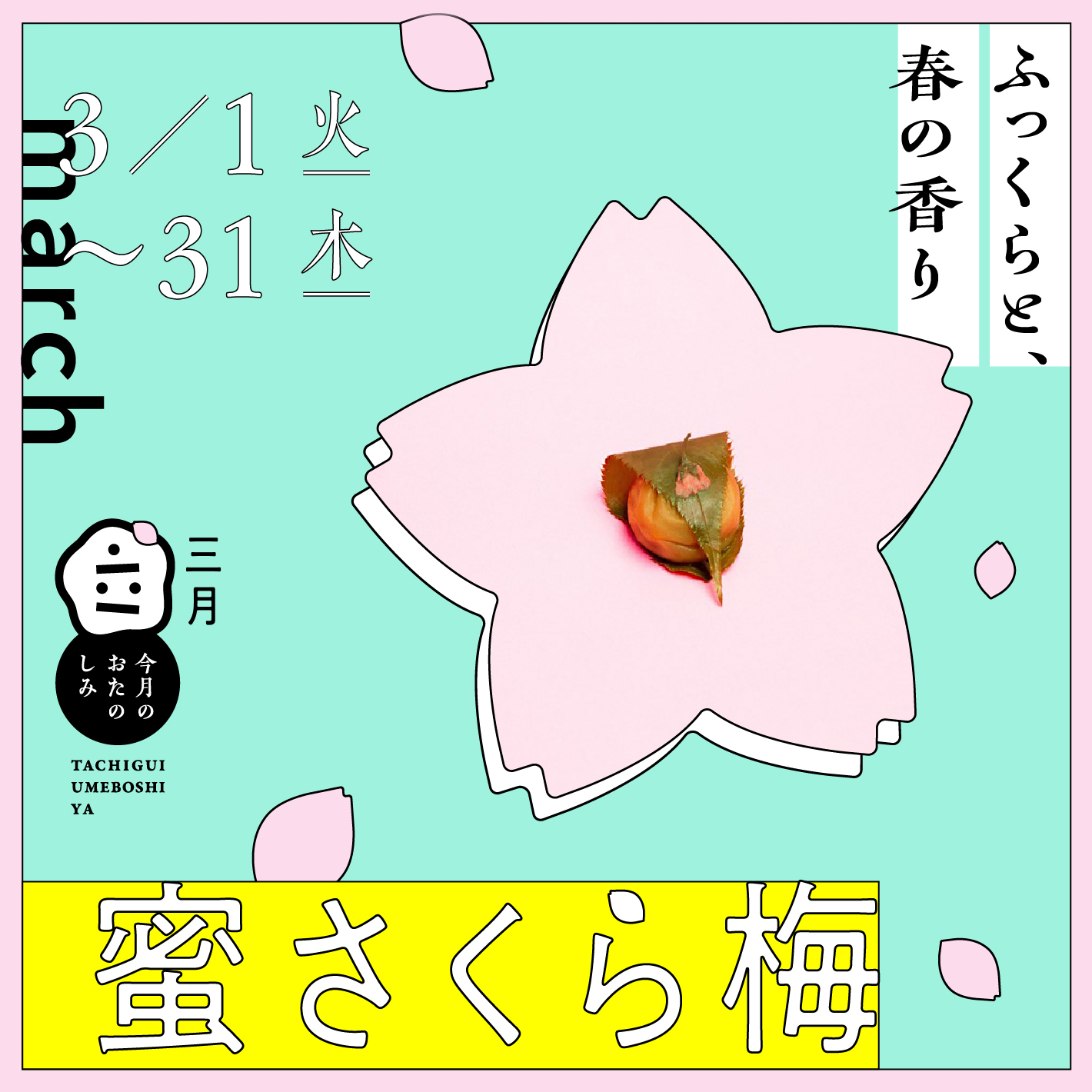 3月のおたのしみ『蜜さくら梅』